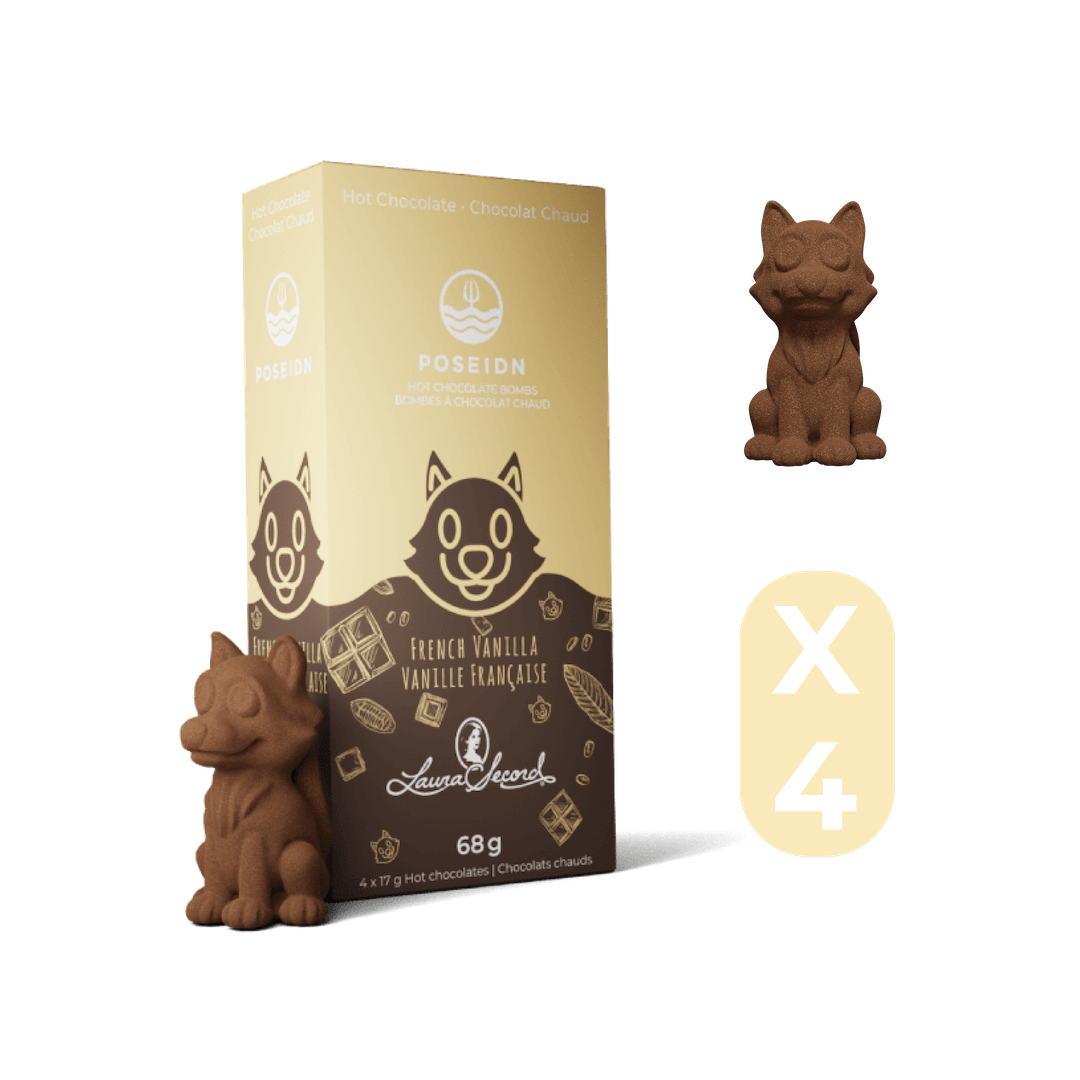 Bombe à boisson chaude Chocolat chaud (Vanille française)