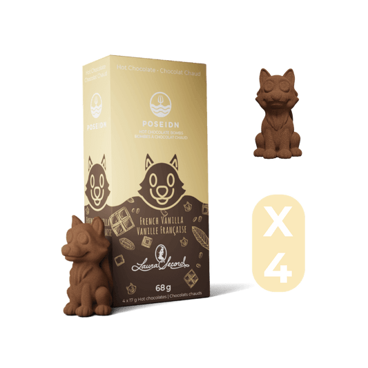 Bombe à boisson chaude Chocolat chaud (Vanille française)