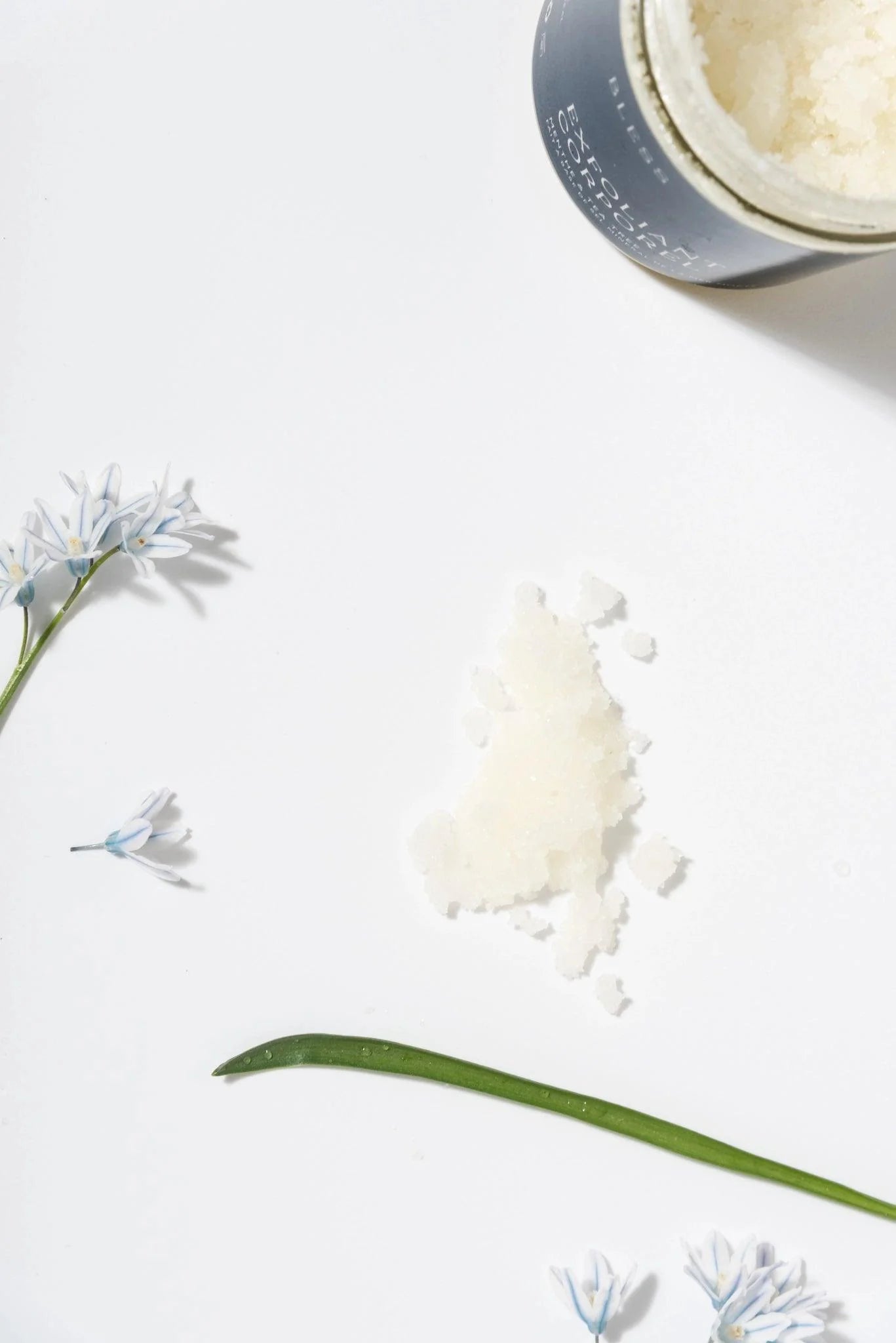 Exfoliant corps Menthe & Arbre à Thé-4