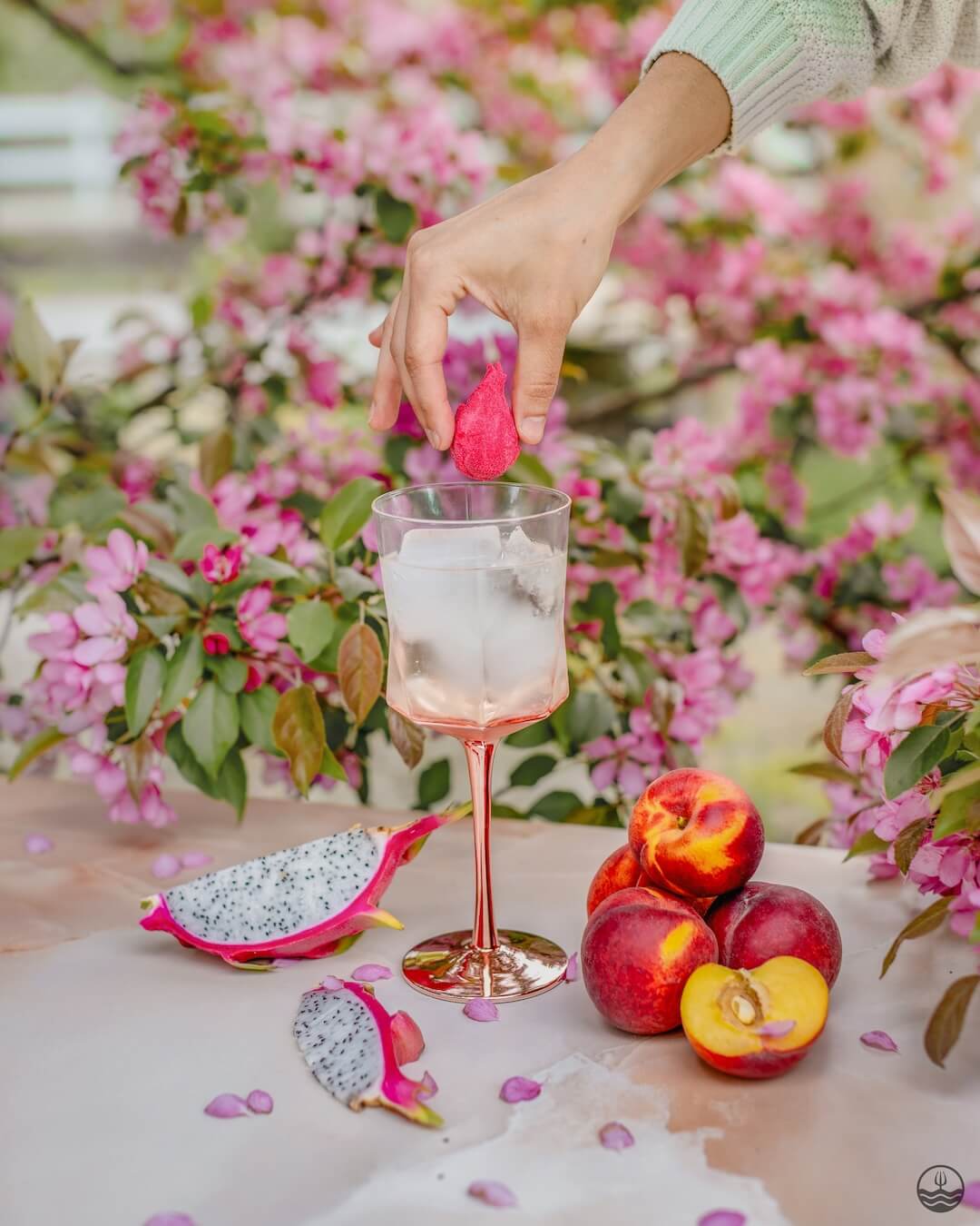 Bombe à cocktail - Fruit du dragon, pêche & fleur de cerisier