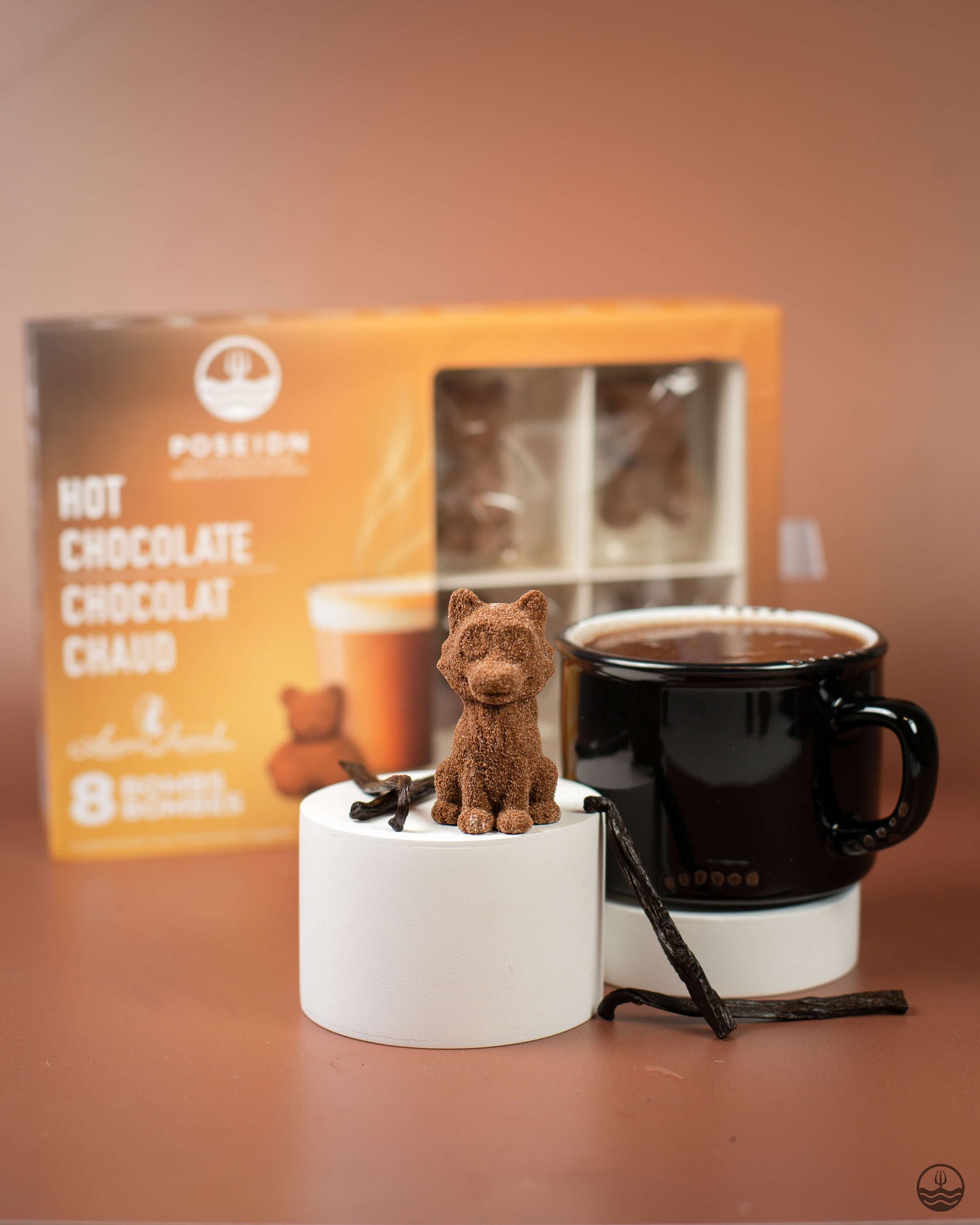 Ensembles variés de bombes de chocolat chaud (Caisse)
