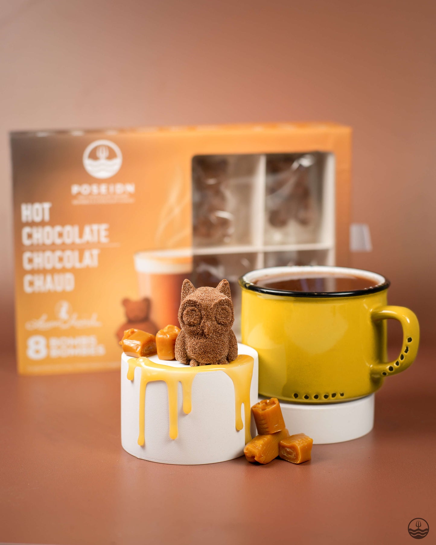 Ensembles variés de bombes de chocolat chaud (Caisse)