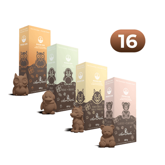 Bombe à boisson chaude - Chocolat (format familial)